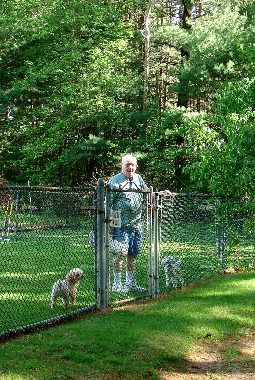 Elder man standing in chainlinked fenced backyard with two poodles while holding his oxygen tank.