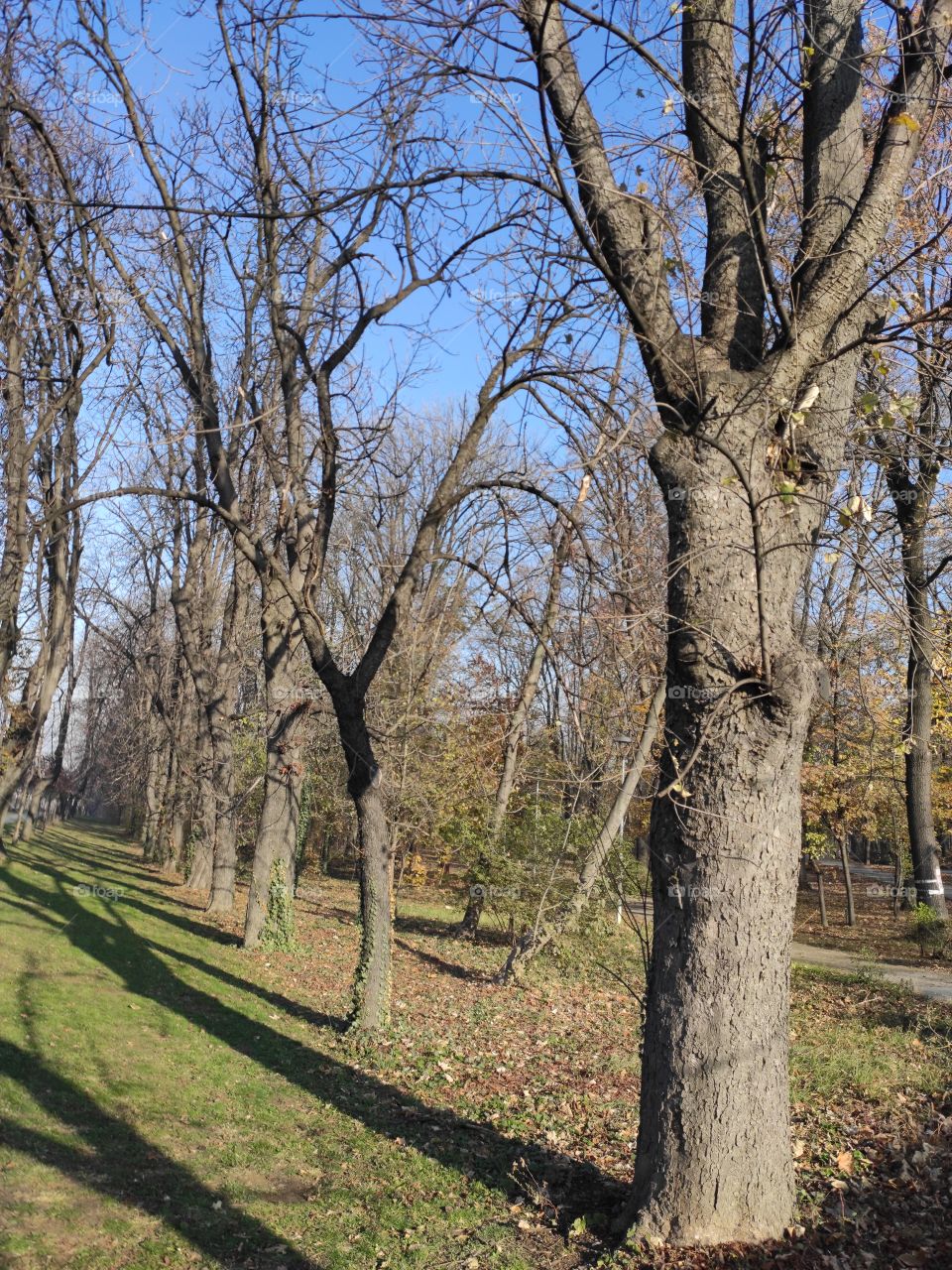 Belgrade Serbia Topcider park in autumn