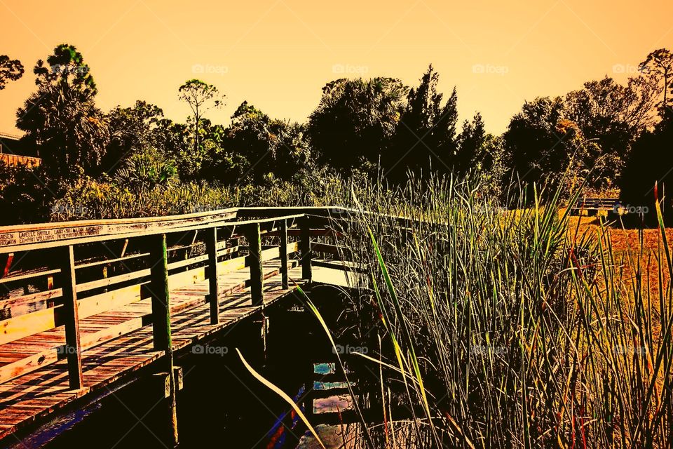 Boardwalk. Boardwalk at the golden hour
