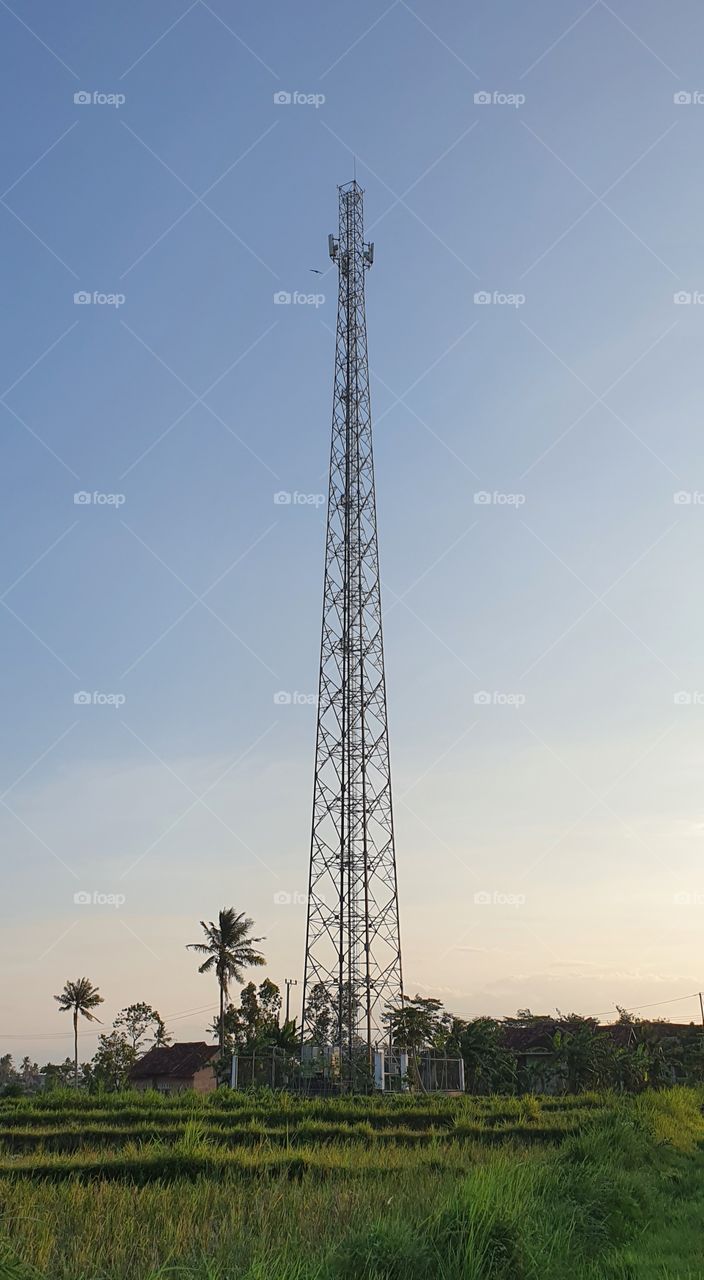 looking for a signal