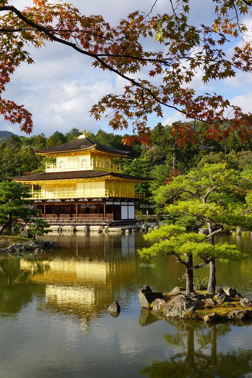 View of Golden pavilion in Kyoto
