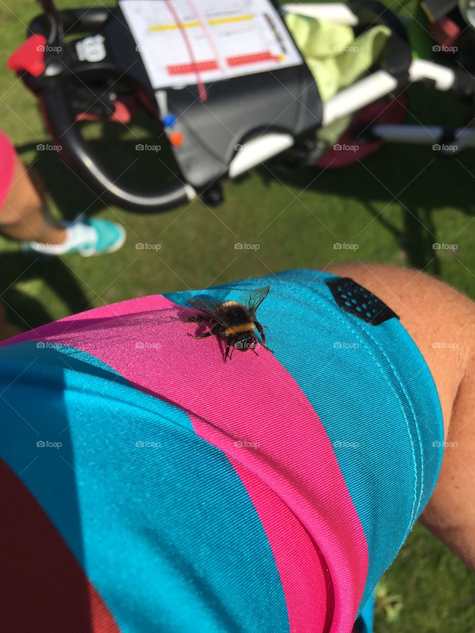A Bee On My Sleeve When On The Golf Course 