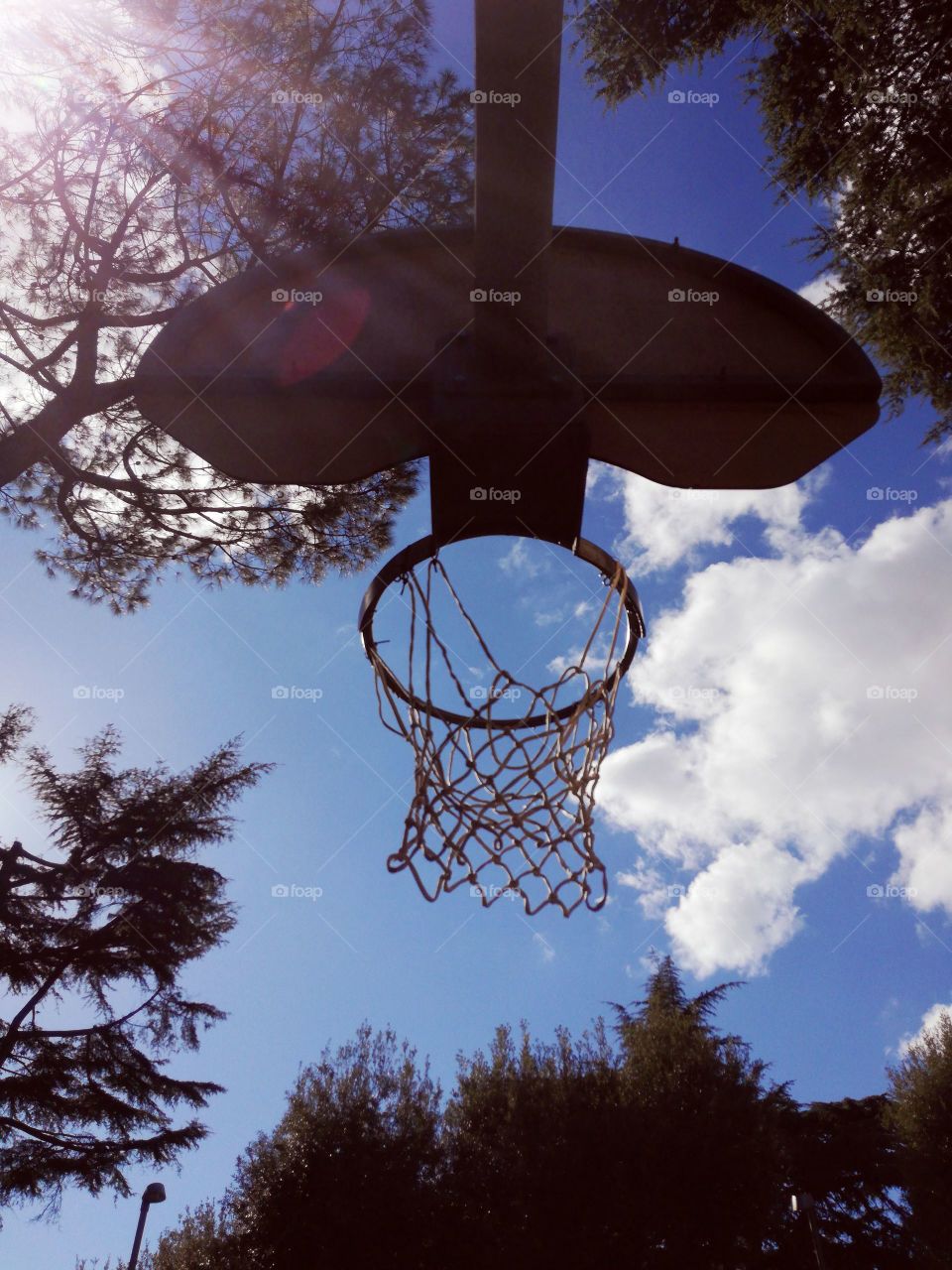 basket
