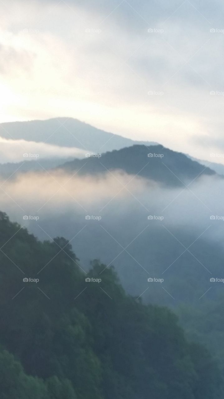 Mountain mist