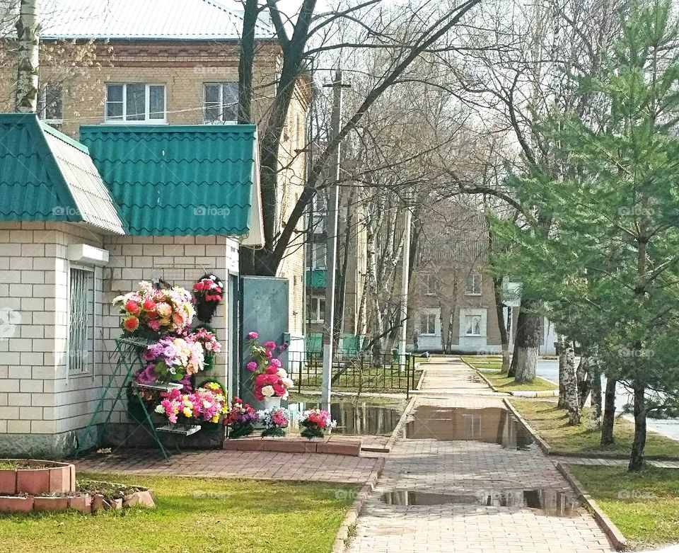 цветочный магазин в маленьком поселке,аллея, лужи, деревья,дома,зелёные газоны, весна,цветы возле магазина