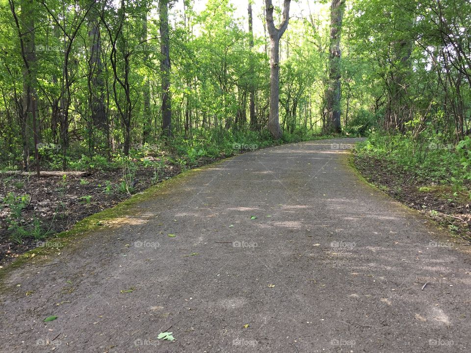 Trail at Meridian park 
Late afternoon 