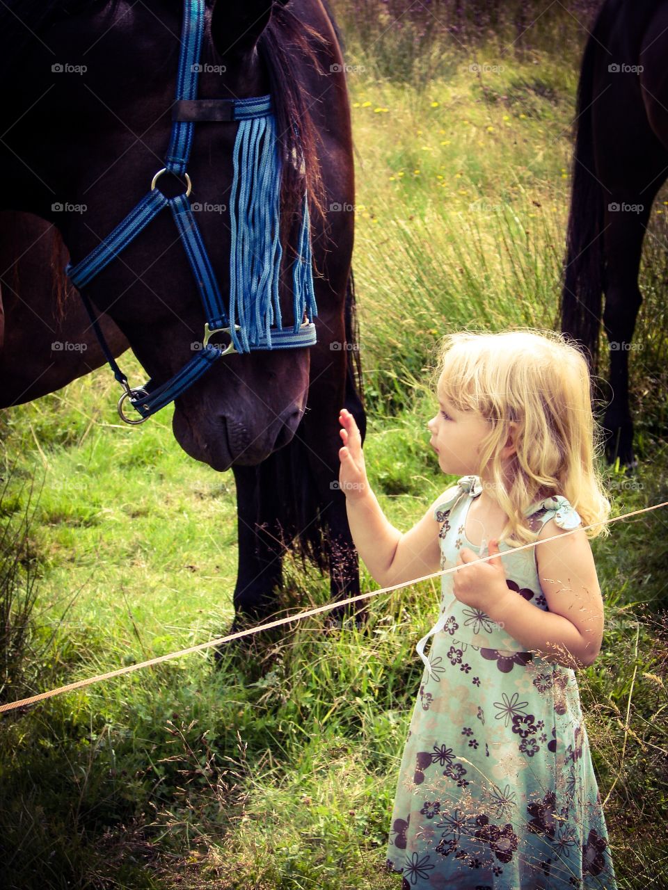 Hi friend. Little girl says hello to the big horse