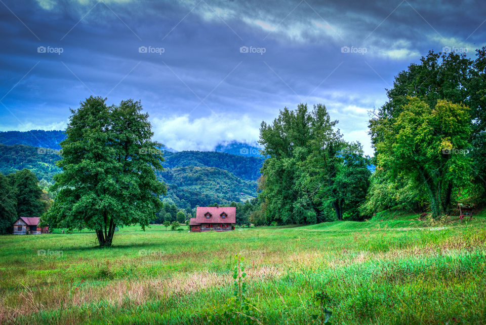 House by the woods