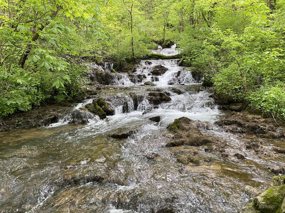 A small but strong waterfall in the woods of Kentucky.