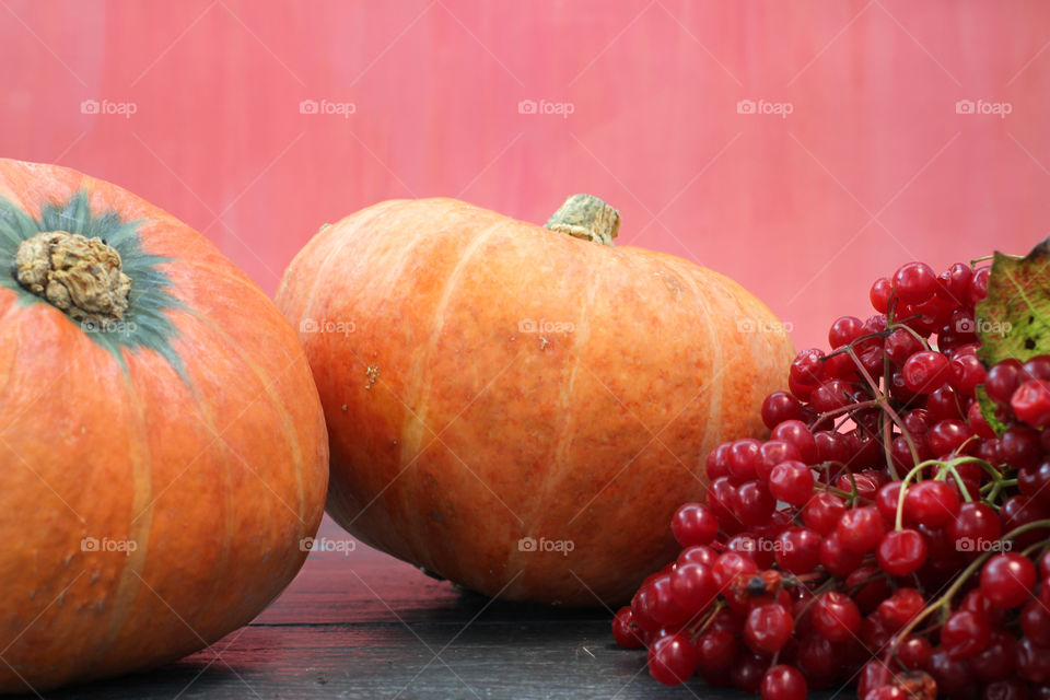 Vegetables, Halloween, pumpkin, corn, harvest, fertility, agriculture, food, cones, forest, birch branches