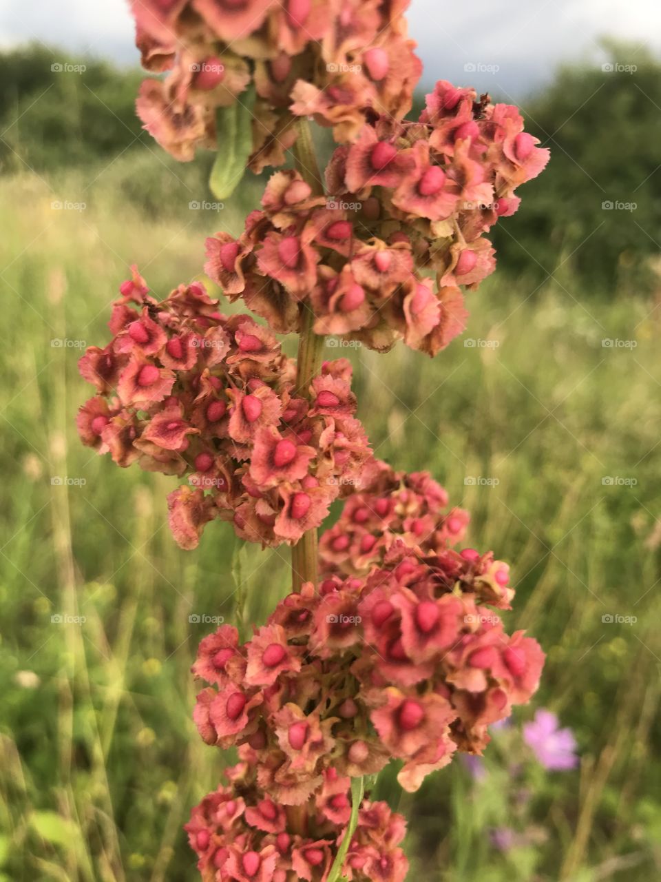 Out in the wilderness 