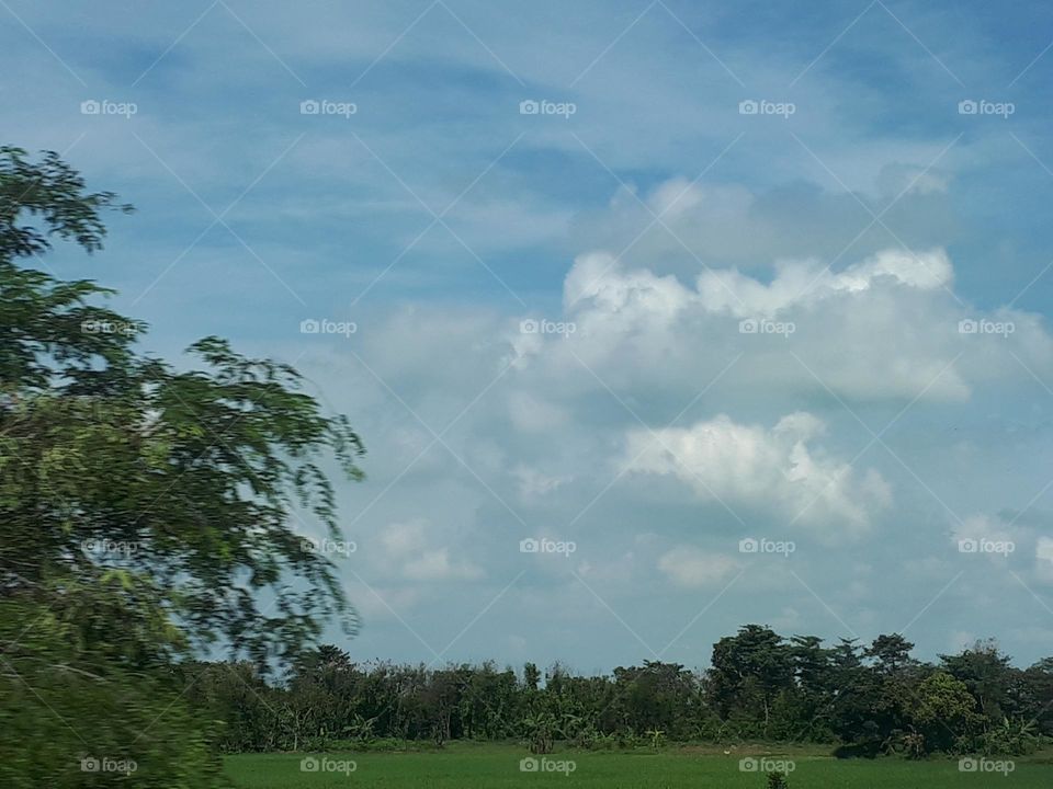 cloudy sunny weather in summer