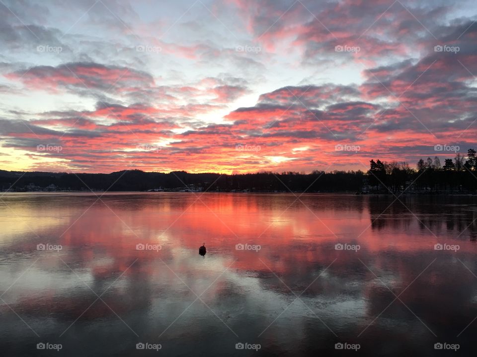 Silhouetted trees and dramatic sky reflecting on lake