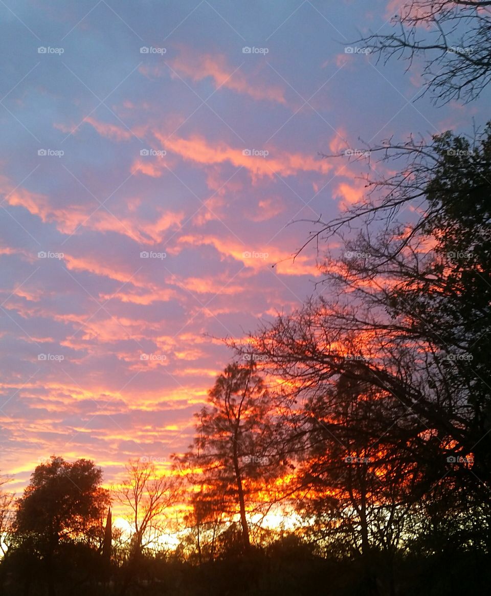 Red glow across Northern California's finest