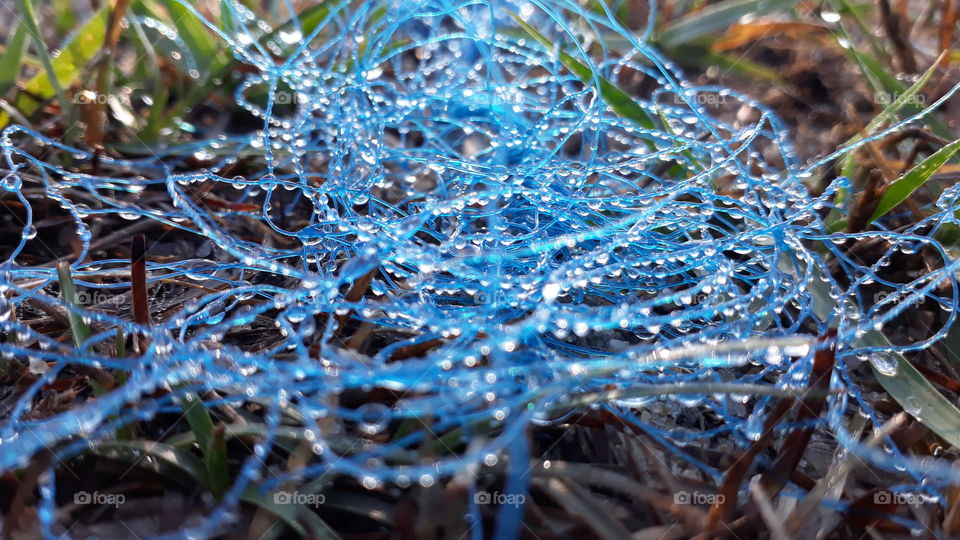 Ice crystals in the thread