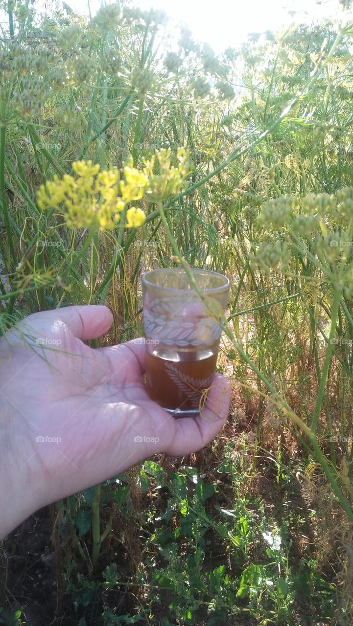 Cup of tea on my hand in nature