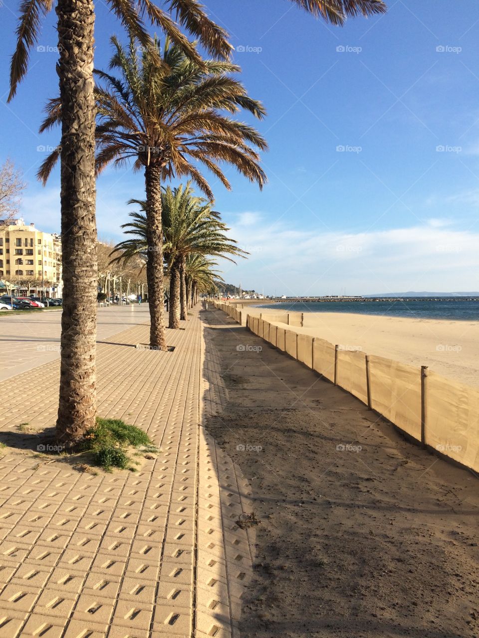 Beautiful scene from Spain with the calming palm trees and the sand and the sea in the distance. This is a beautiful screensaver or backdrop. 