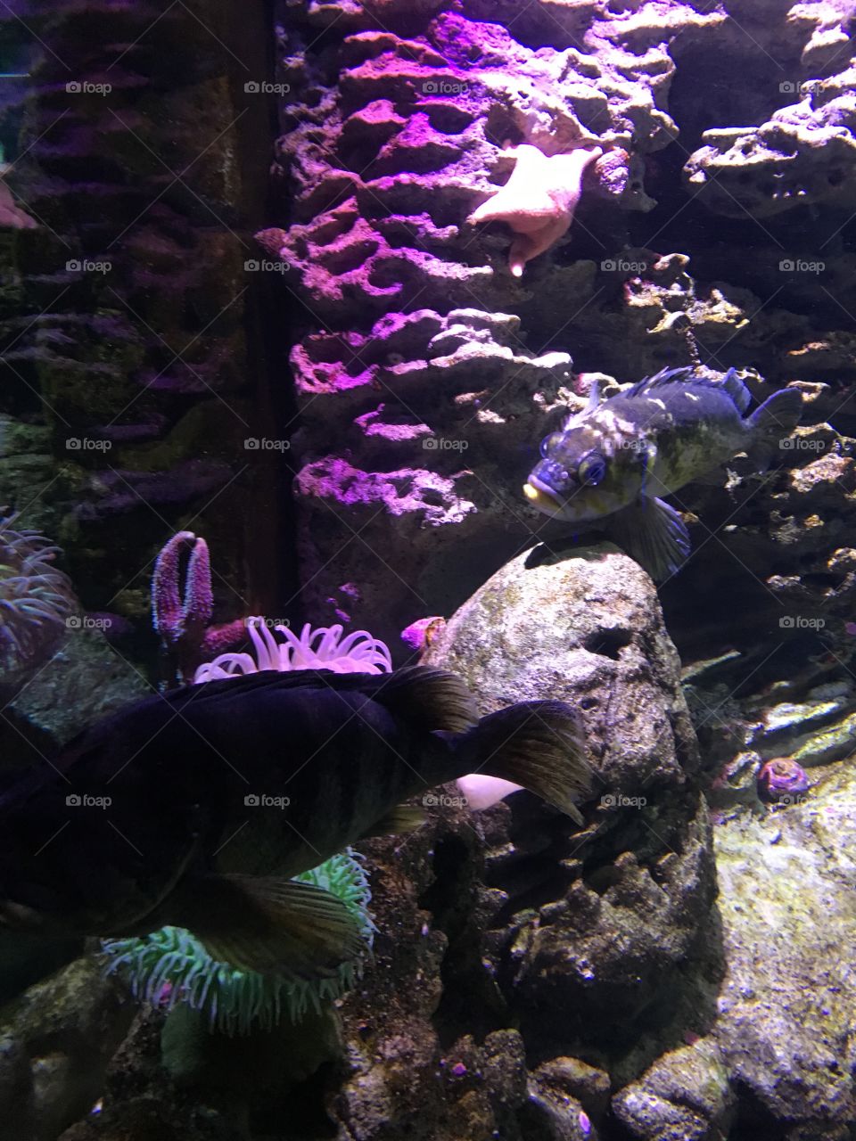 New England Aquarium