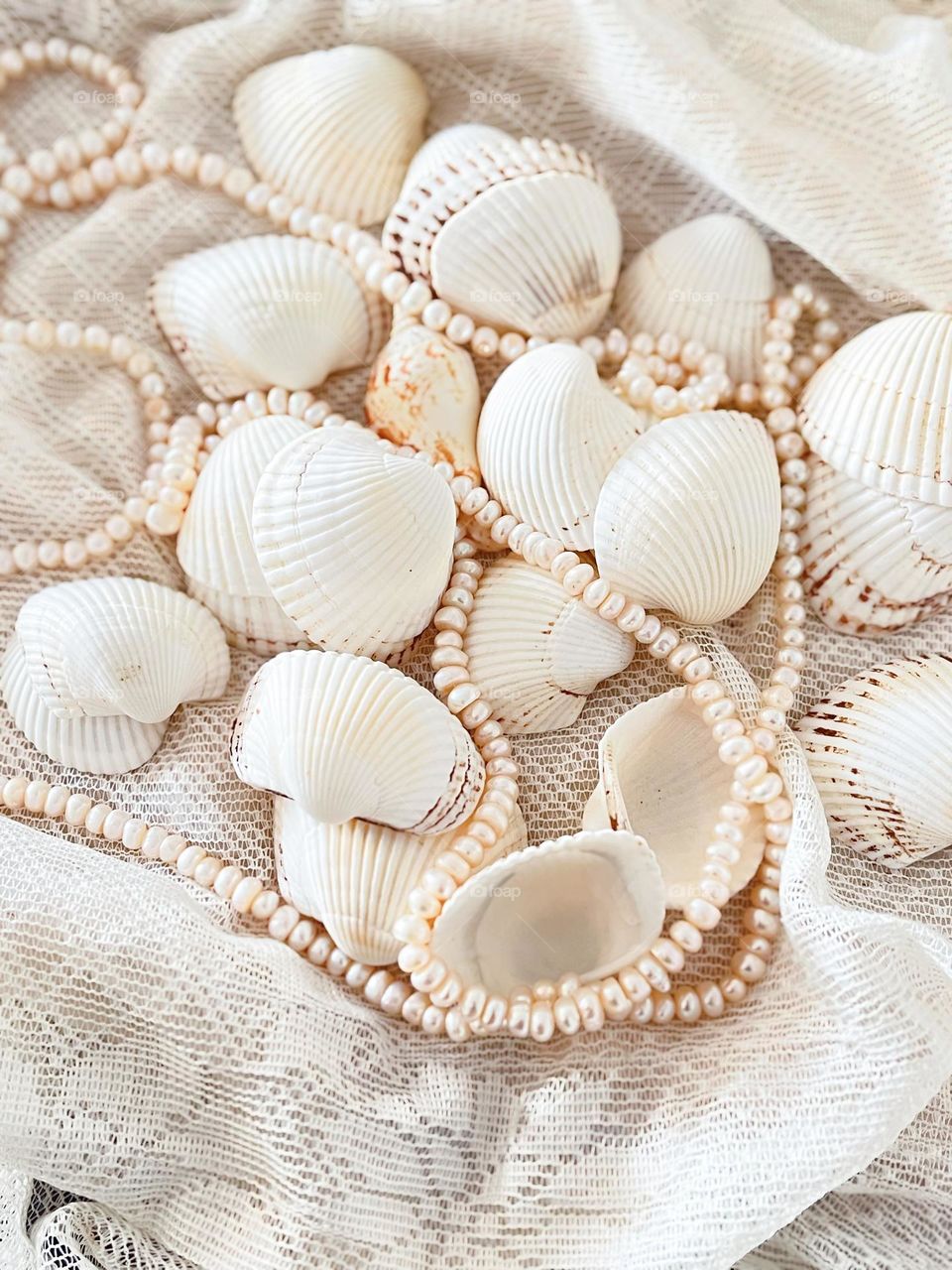Pearls and shells 