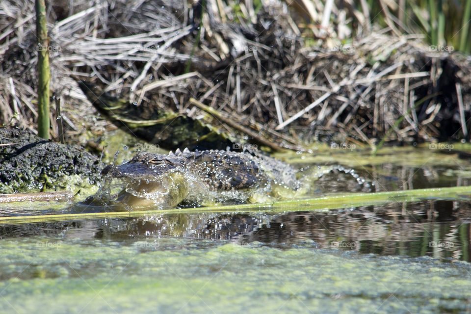 Don't be afraid to give up the good & go for the great!