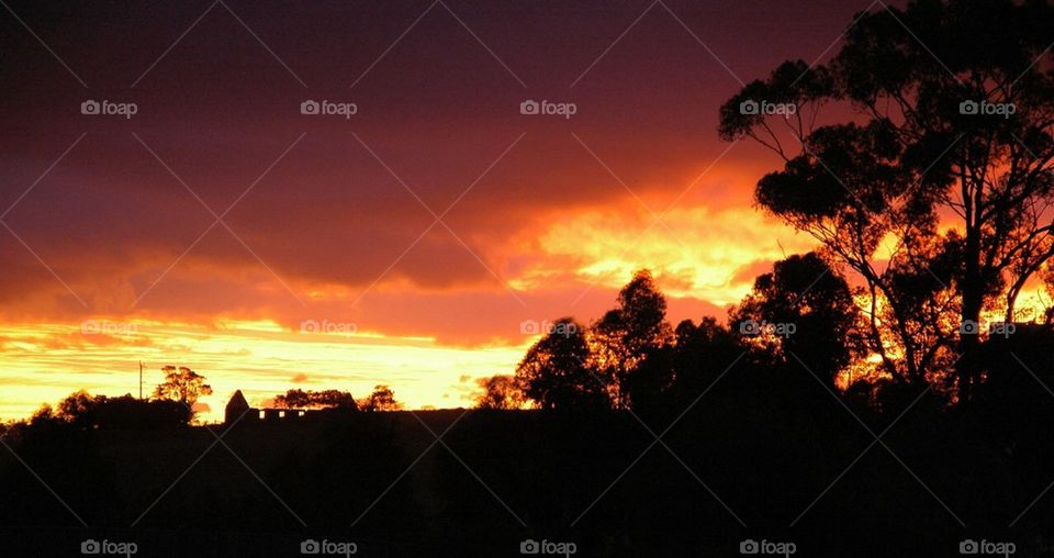 My Aussie Backyard