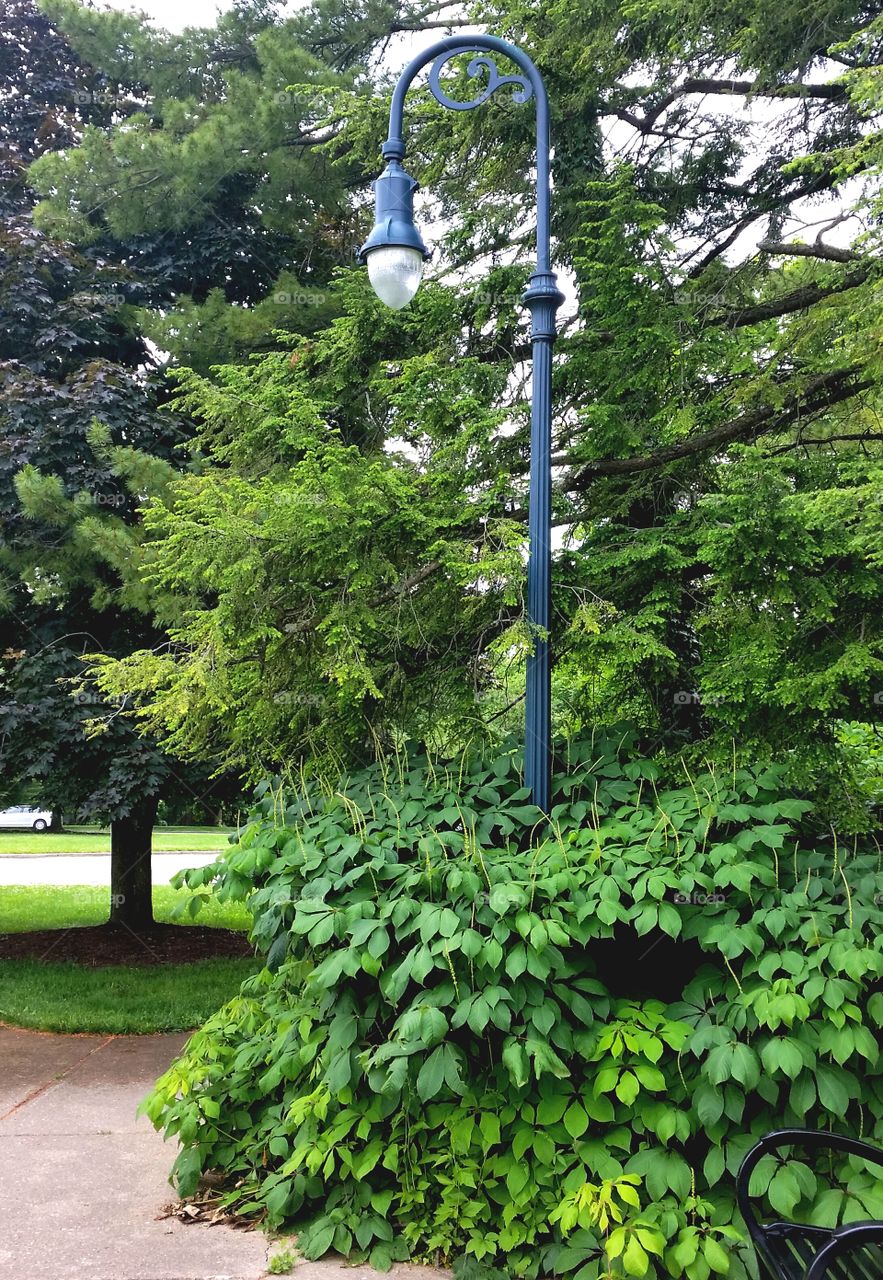 Leafy Lamppost