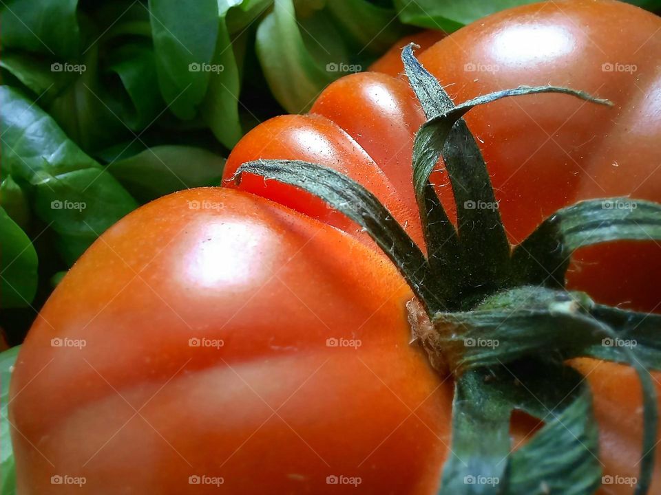 macro image of fresh tomato