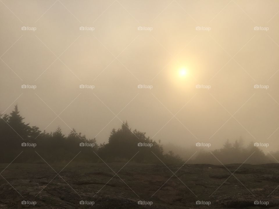 Dusk at Acadia National Park in Maine