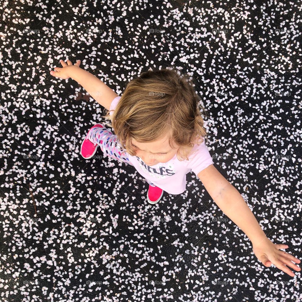 Toddler girl standing in cherry tree blossoms taken from above.