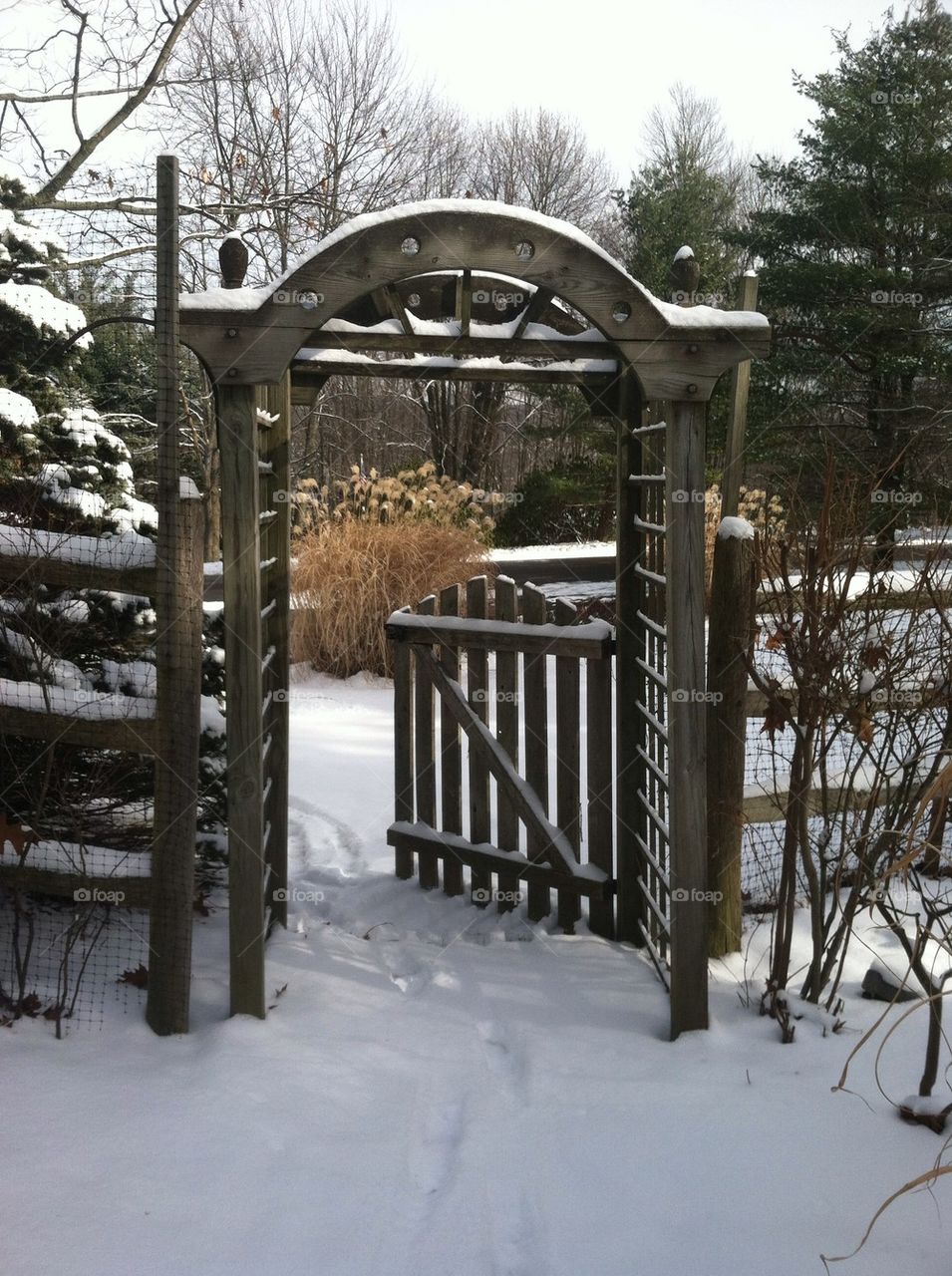 The opened garden gate