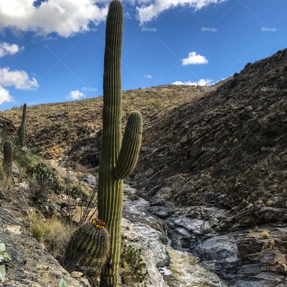 Nature Landscape - Hiking Adventures 