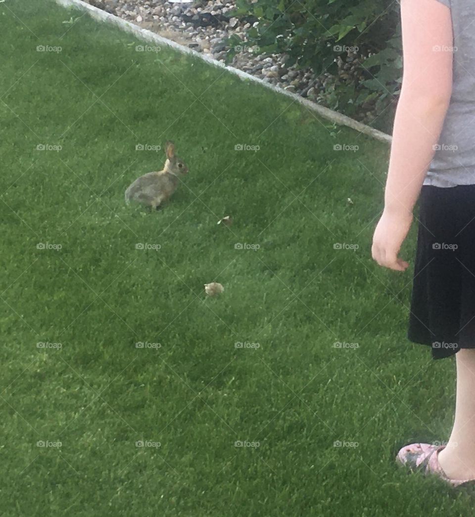 A young girl trying to sneak up to a bunny rabbit to get some cuddles, but the bunny wasn’t having it