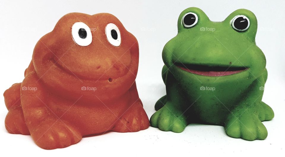 frogs