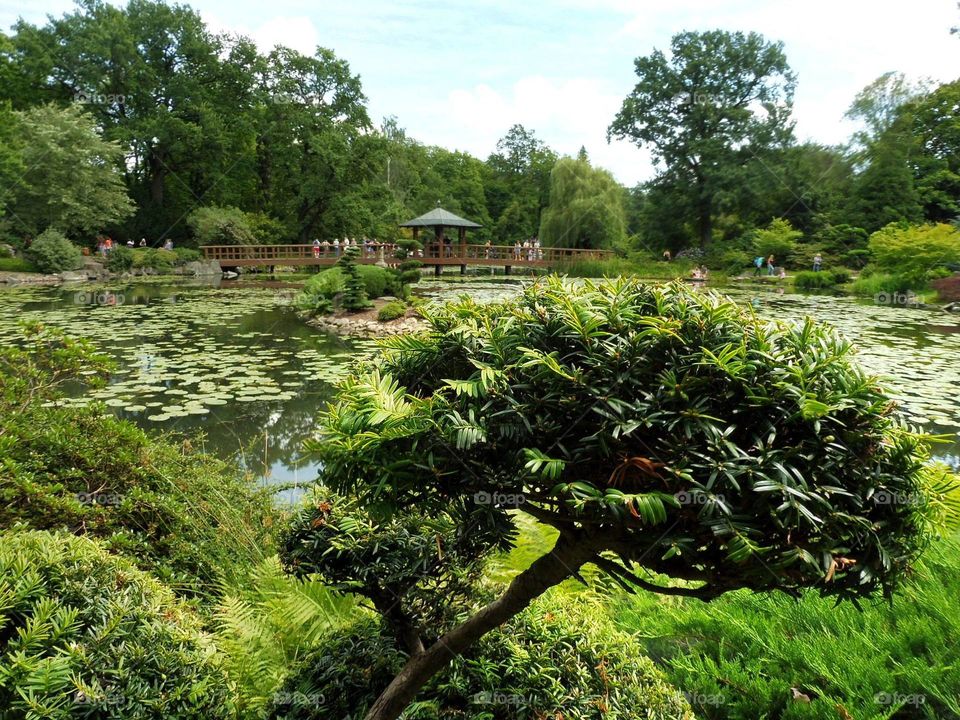 Japanese garden in Wroclaw city