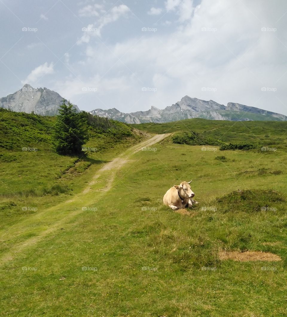 Val d'Azun pyrenees