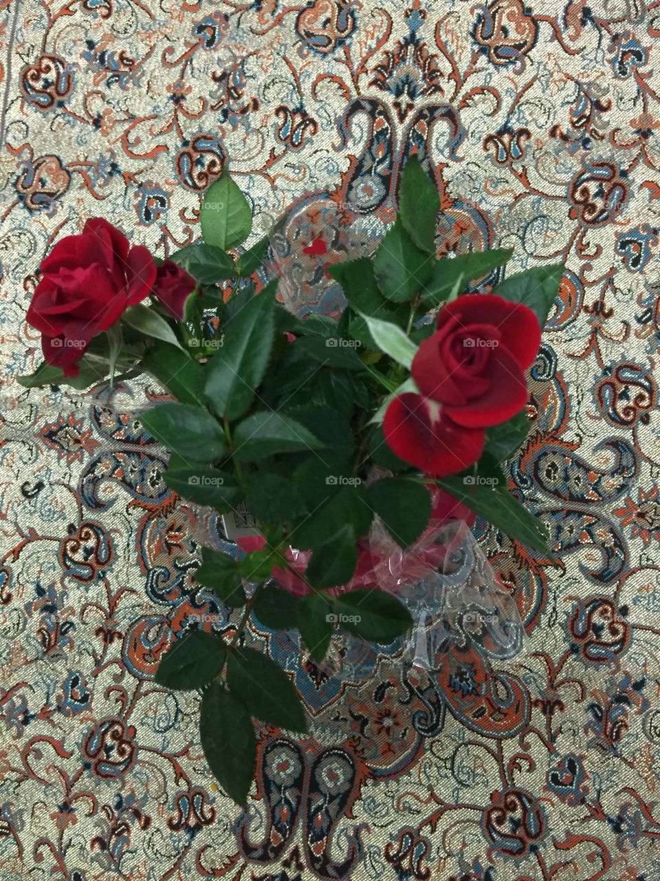 Red rose
Flower
