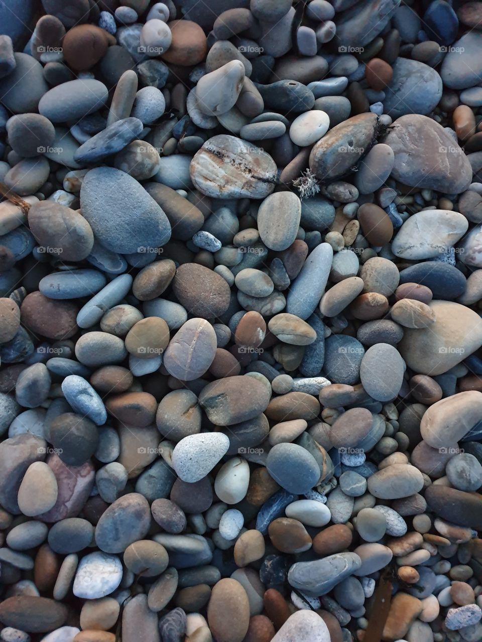 Different pebbles at a beach