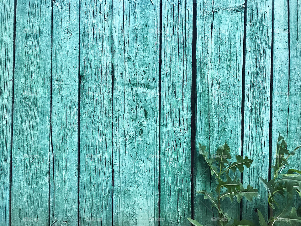 Blue wooden background 