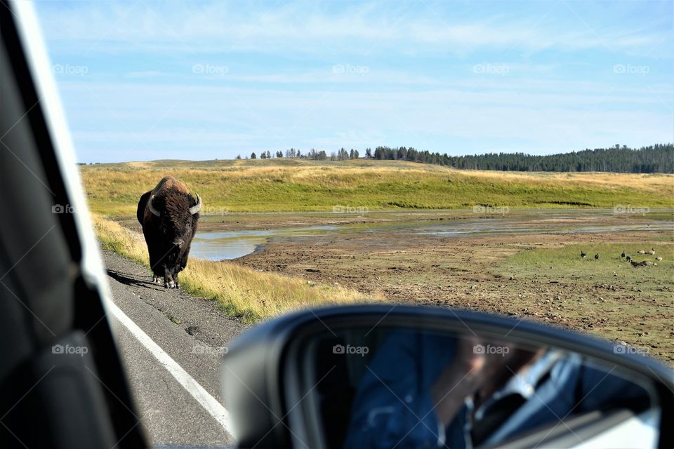 No Person, Travel, Car, Landscape, Road