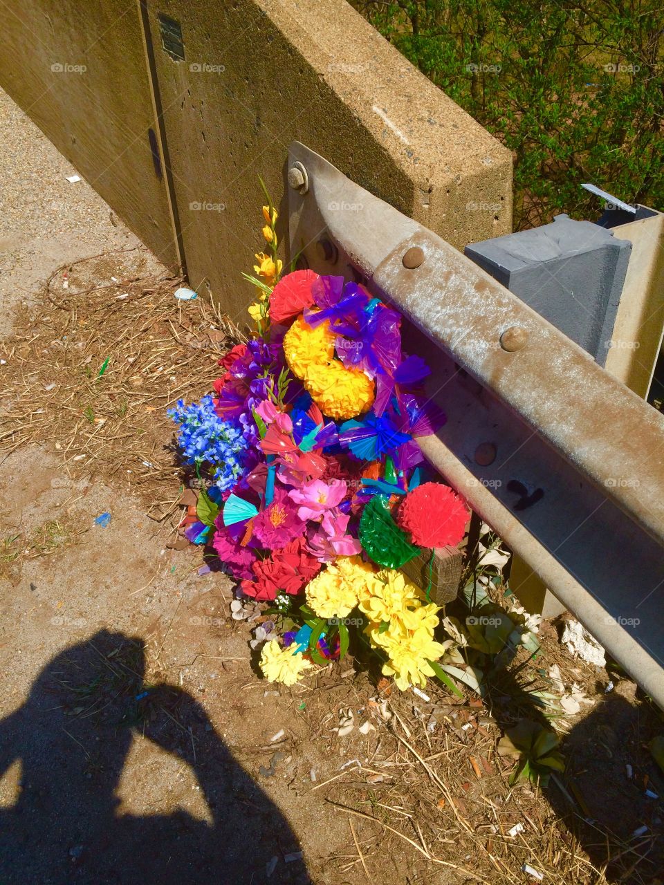 Flowers by the roadside