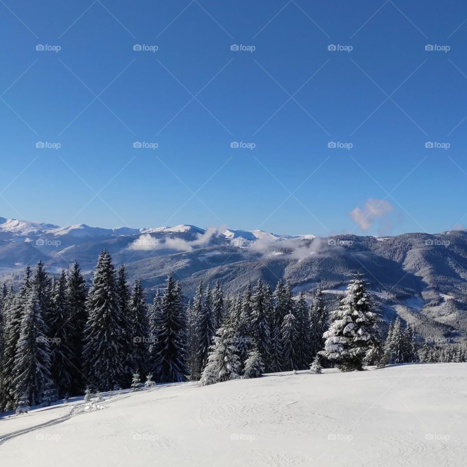 Carpathian mountains Ukraine