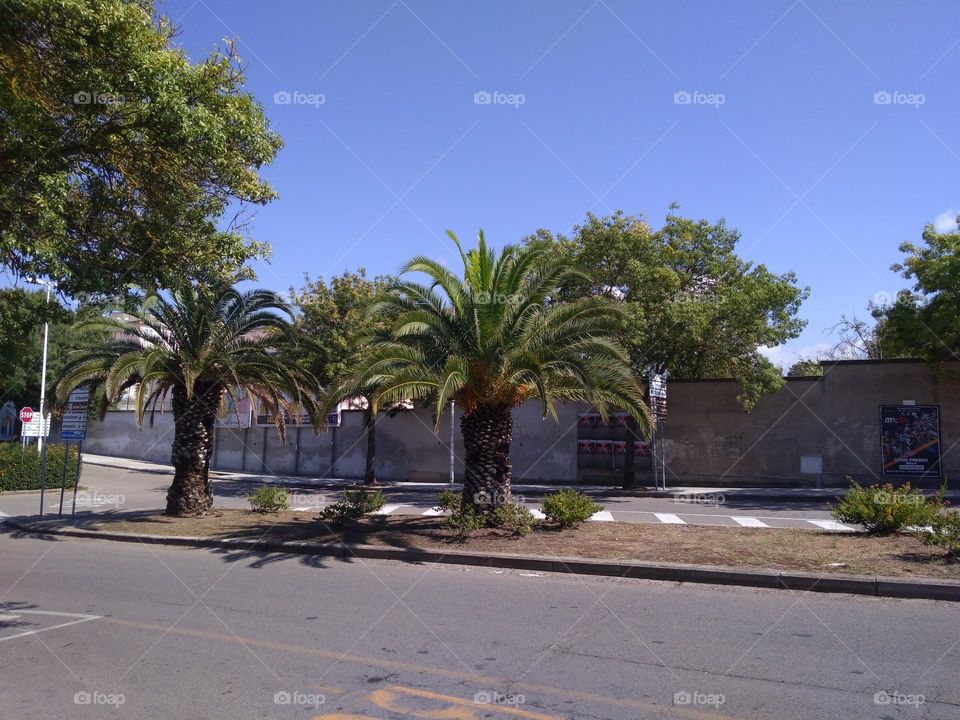 Best of 2021: Nature