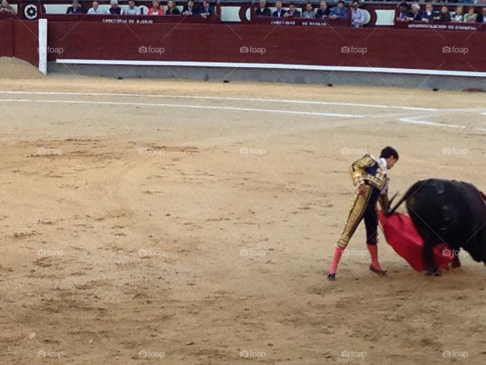 Bullring, Bullfighter, Bull, Stadium, Competition