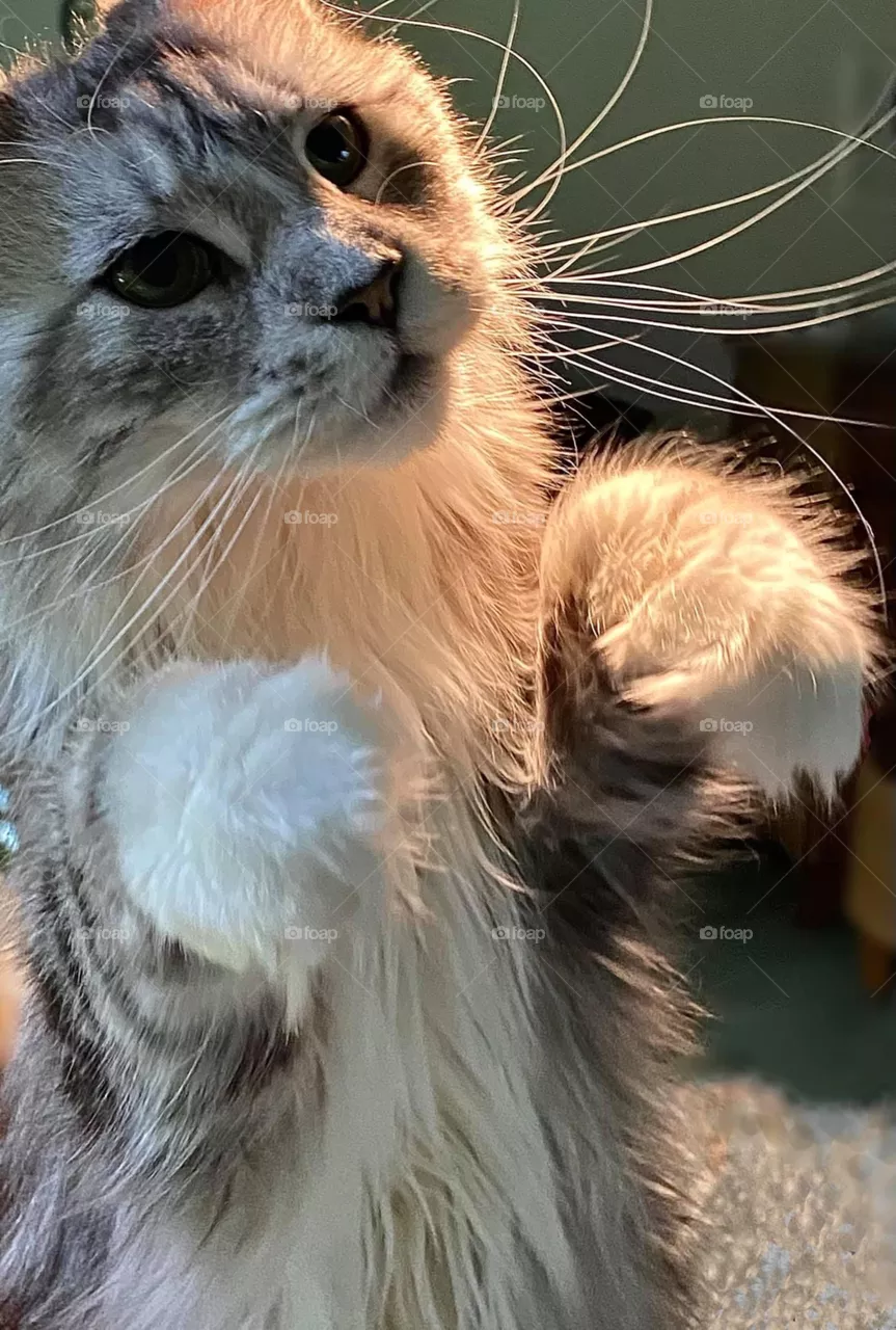 Cute