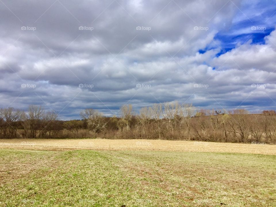 Cloudy sky against grassy landscape