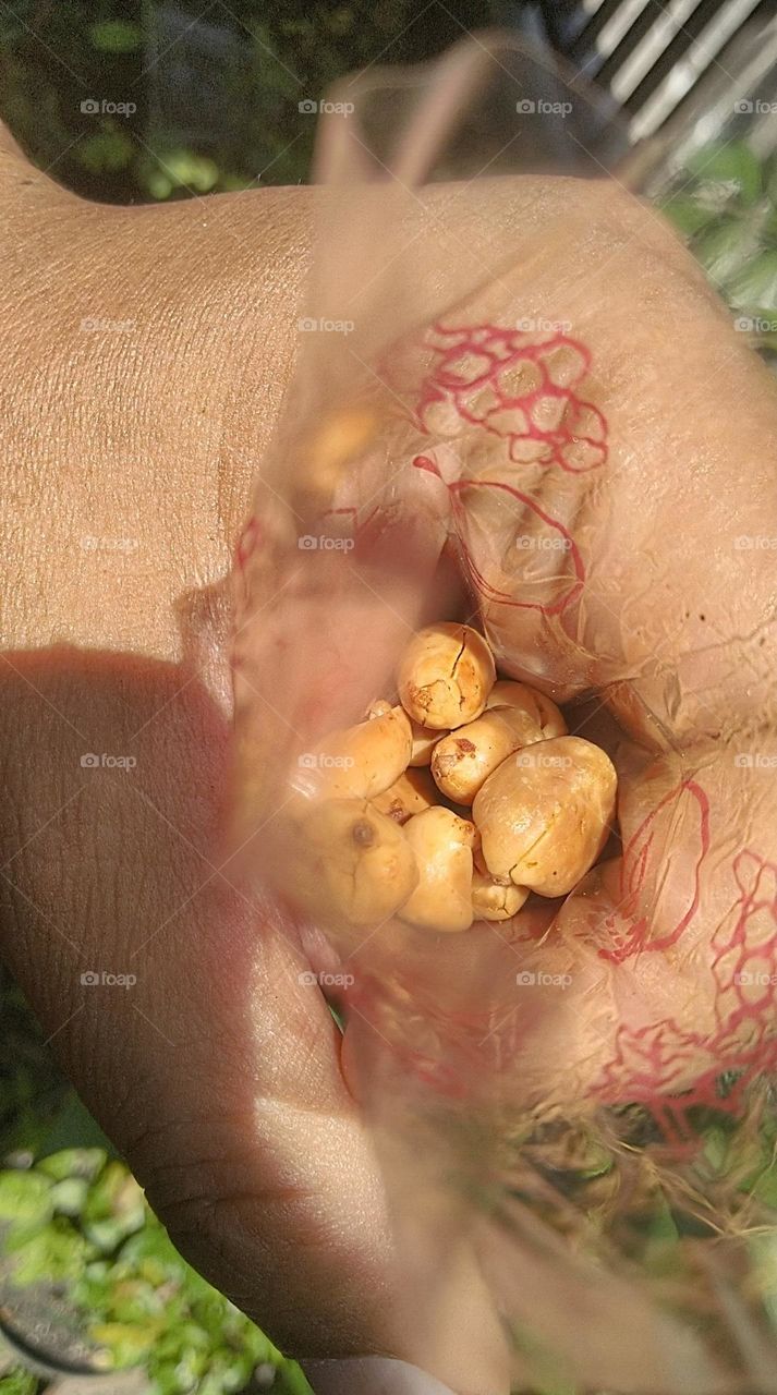 Eat fried peanuts in plastic