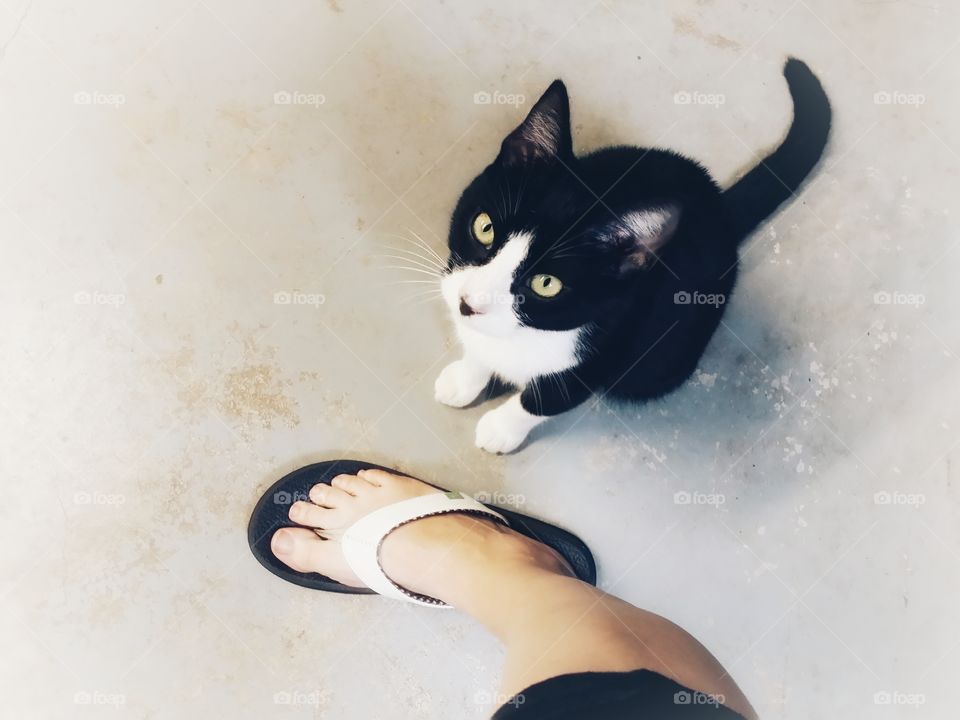 A woman's foot in a black and white flip flop with a black and white cat looking up at her selfie