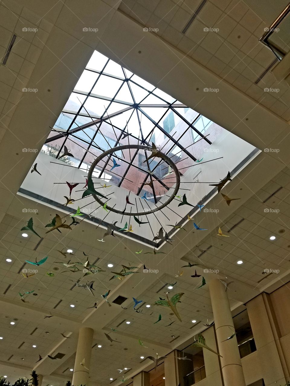 birds decor skylight