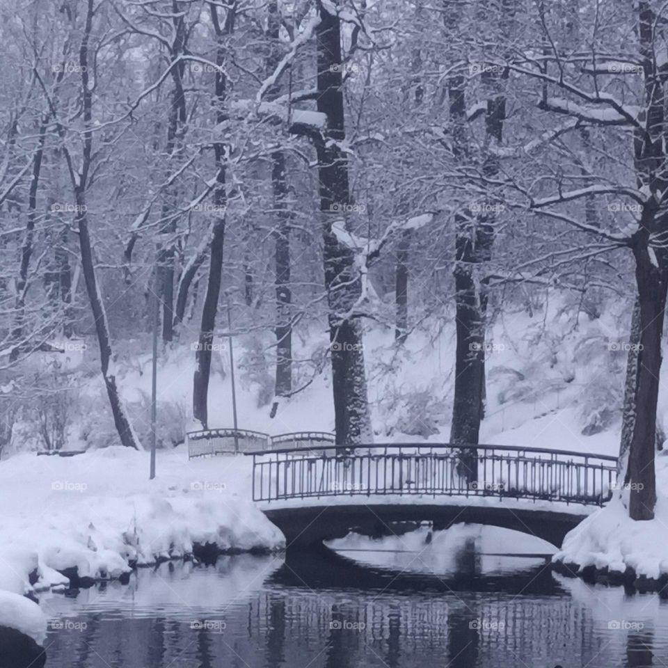 white and black world