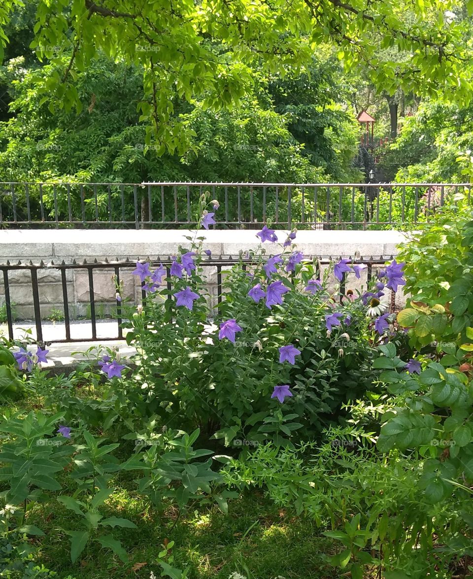 NYC PARK UPPER EAST SIDE